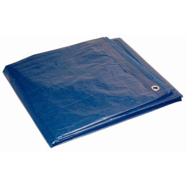 Patioplus Tarp, Blue, Polyethylene PA86289